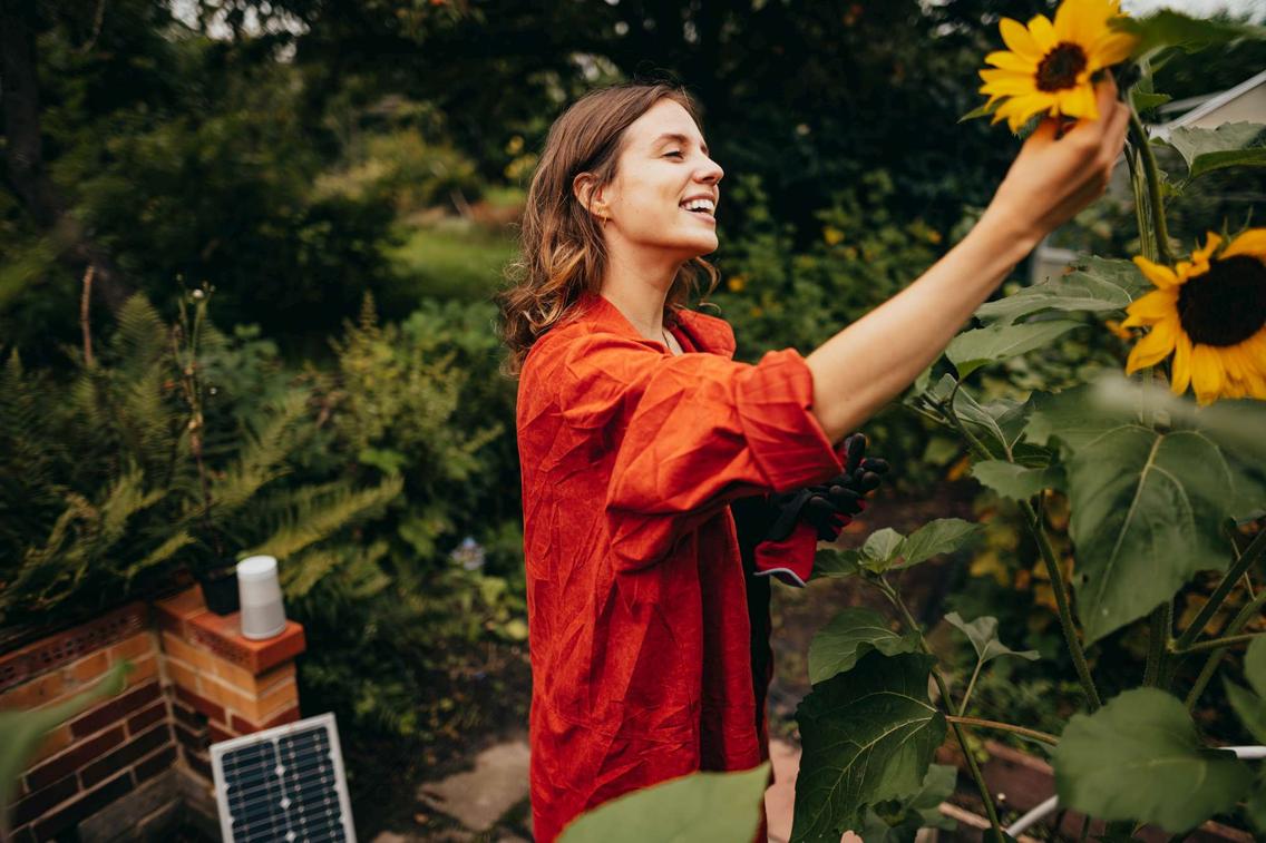 Marlene nutzt Sonnenenergie für Musik im Garten