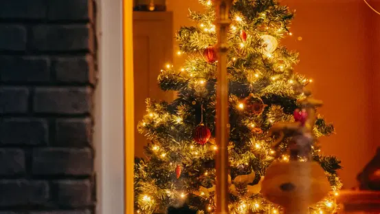 Blog-Artikel: Weihnachtsbaum im Fenster