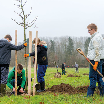 Obstwiesen Pflanzaktion