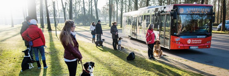 Bus Hundetraining