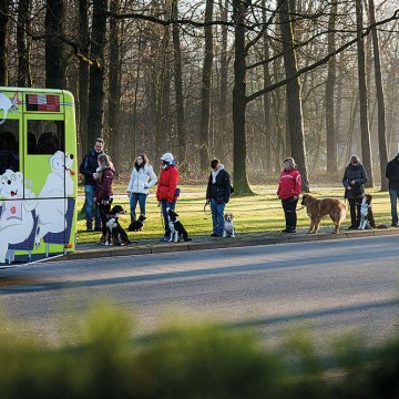 Bus Hundetraining