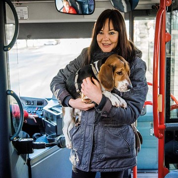 Bus Hundetraining