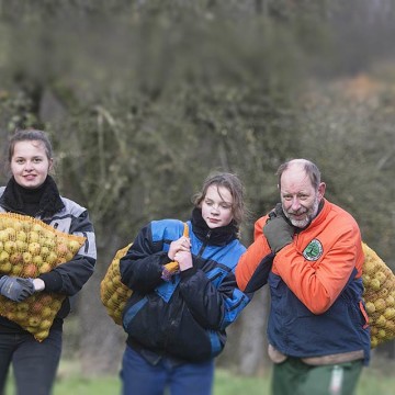 Streuobstwiese Osnabrück