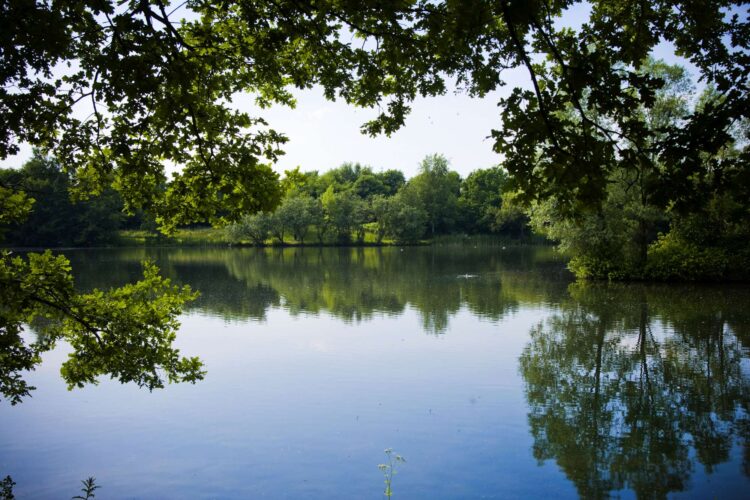 Regenrueckhaltebecken Hellern