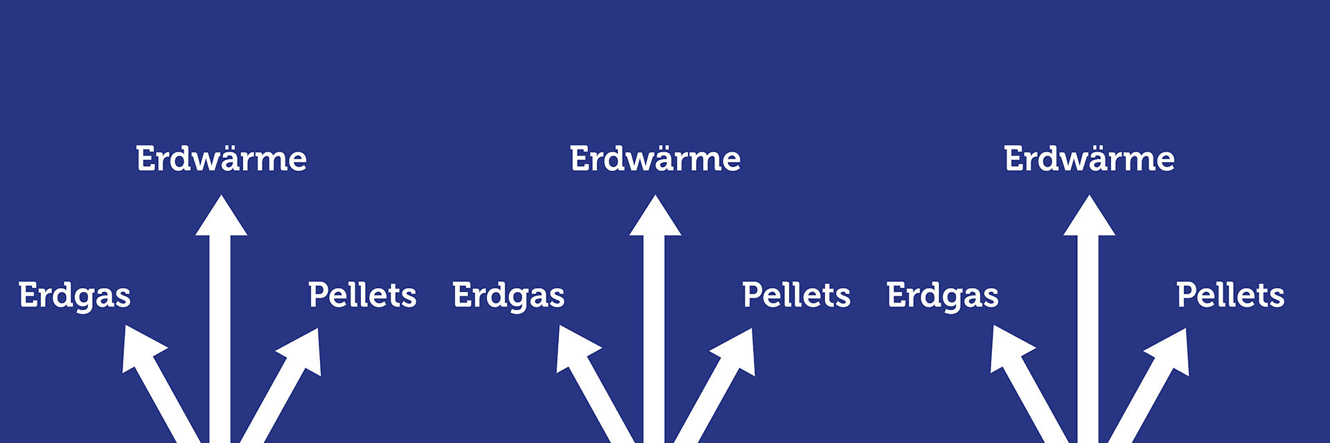 Heizungstyp Erdwärme Erdgas Pellets
