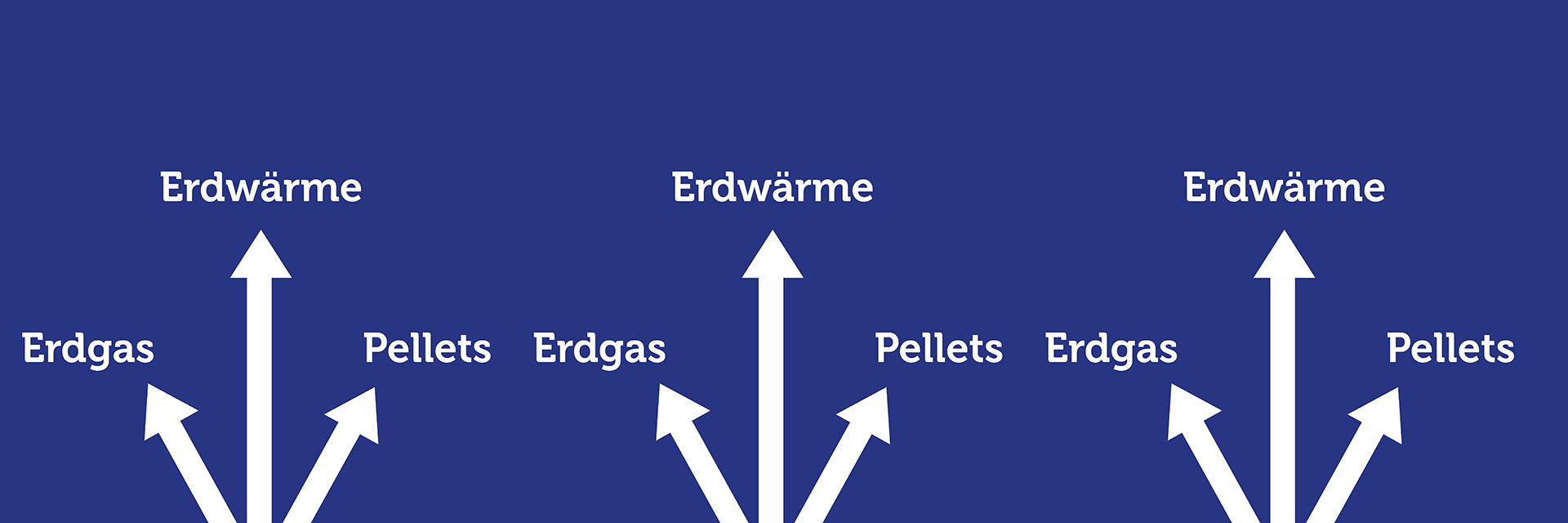 Heizungstyp Erdwärme Erdgas Pellets