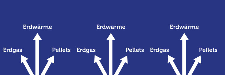 Heizungstyp Erdwärme Erdgas Pellets