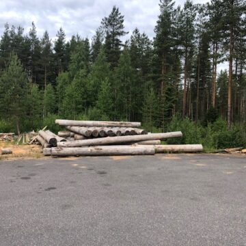 Neue Attraktion in der Loma Sauna am Nettebad