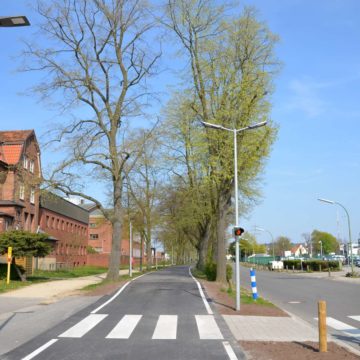 Straßenbeleuchtung Schlachthofstraße Fußgängerüberweg