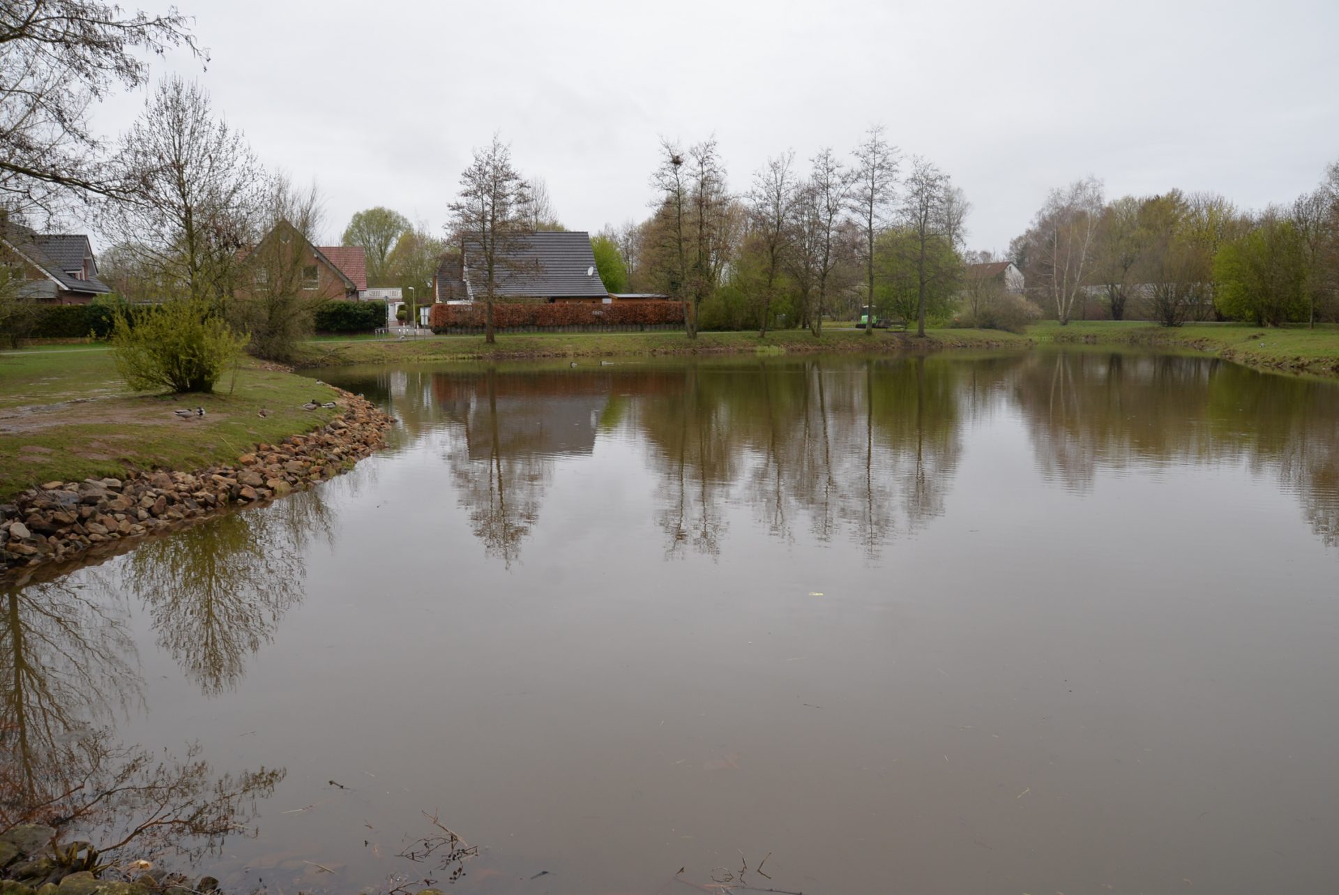 Sicher und naturnah – unsere Regenrückhaltebecken in Osnabrück